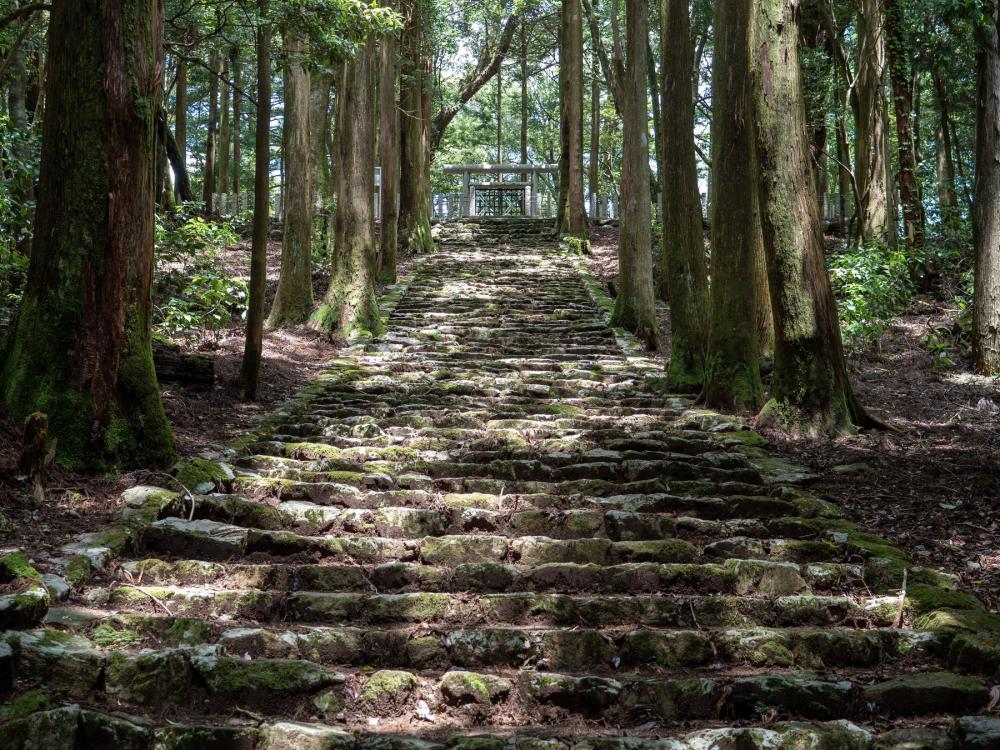 牧野富太郎博士のゆかりの地、歴町「さかわ」と神秘の山「横倉山」探訪