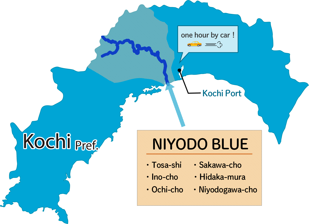 Niyodo Blue Private Taxi Tour Banner
