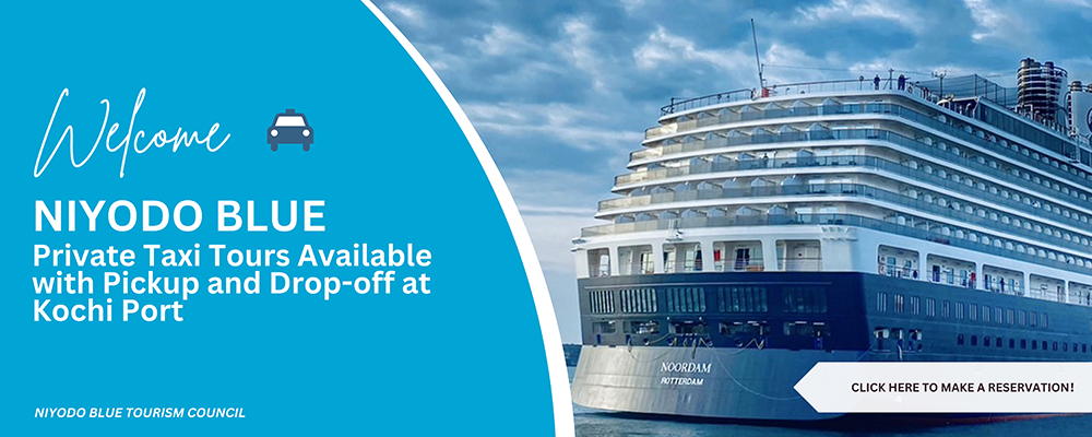 クルーズ専用タクシー