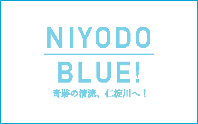 第5回日本国際映像祭にて「仁淀川エリアPR動画“究極のブルー編”」が準ブランプリをいただきました