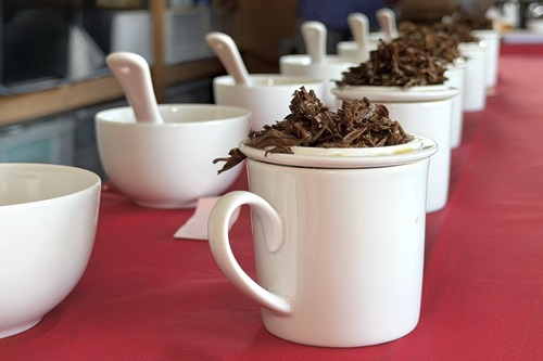 土佐茶ツーリズム・紅茶農家で国産紅茶用６品種のテイスティングと スイーツペアリング体験【ガイドなし・紅茶/スイーツ付/・5時間】