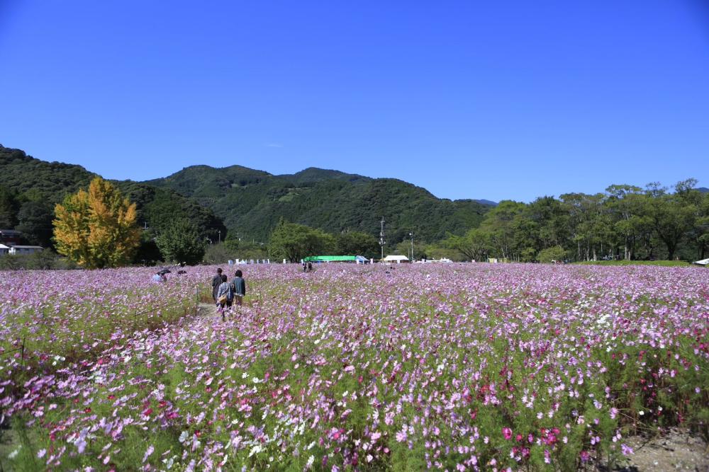 宮の前公園