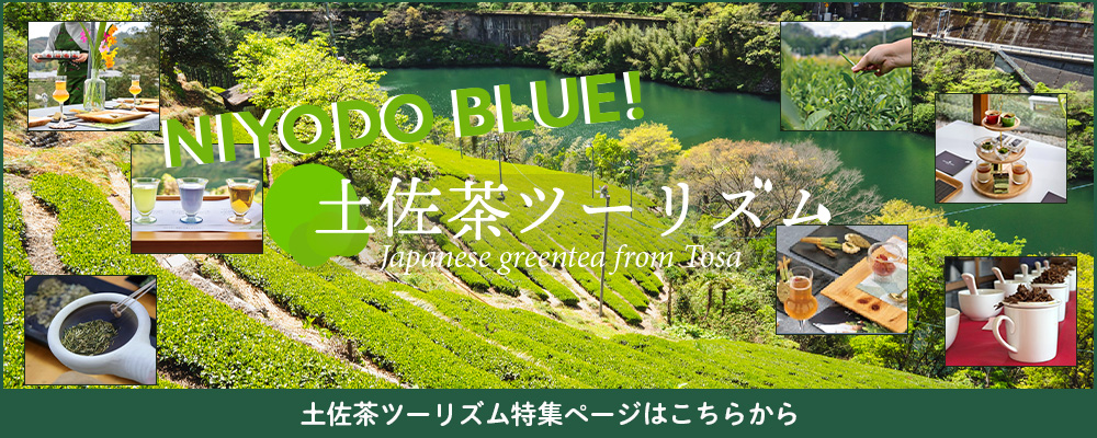 土佐茶ツーリズム特集ページはこちらから