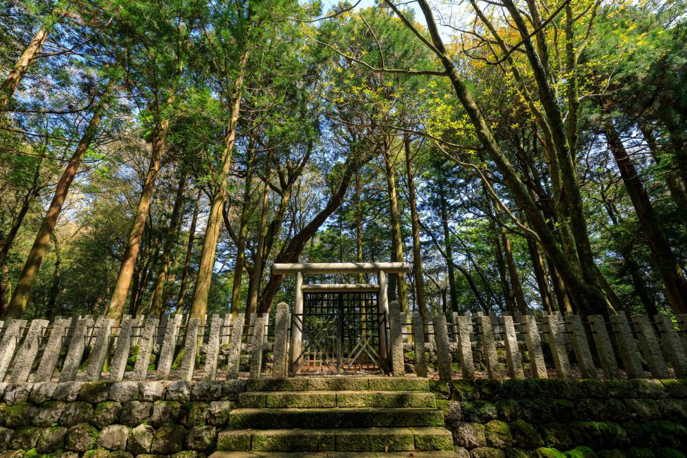 牧野富太郎博士のゆかりの地を巡る、歴町「さかわ」と神秘の山「横倉山」探訪
