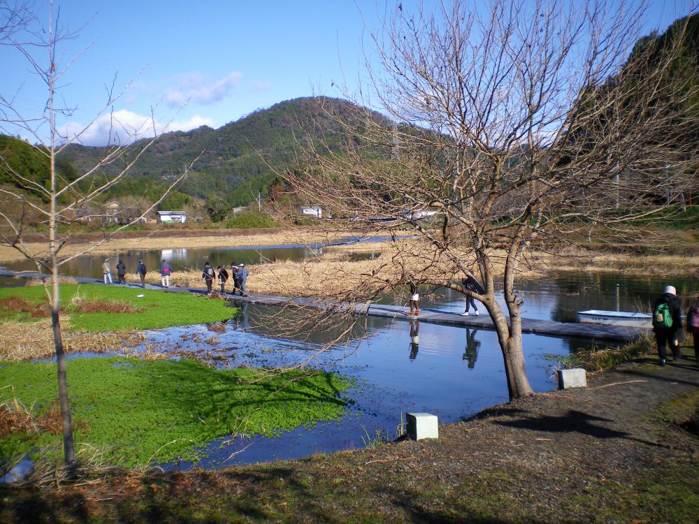 Killifish Pond Footpath (Medaka Pond)
