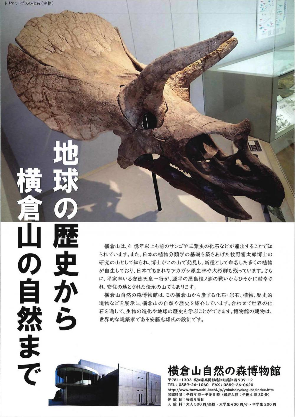 秋の企画展 自慢の昆虫標本展