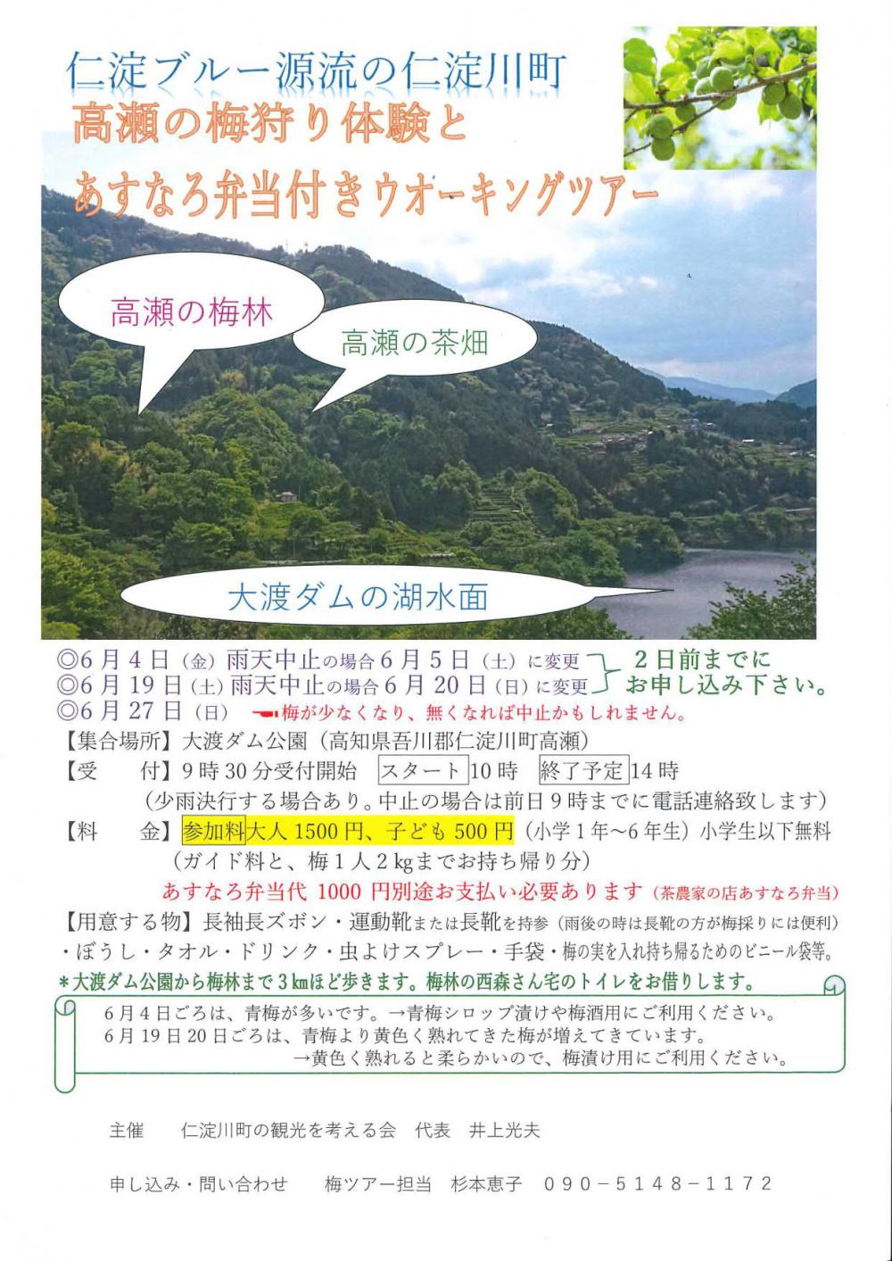 高瀬の梅狩り体験とあすなろ弁当付きウオーキングツアー