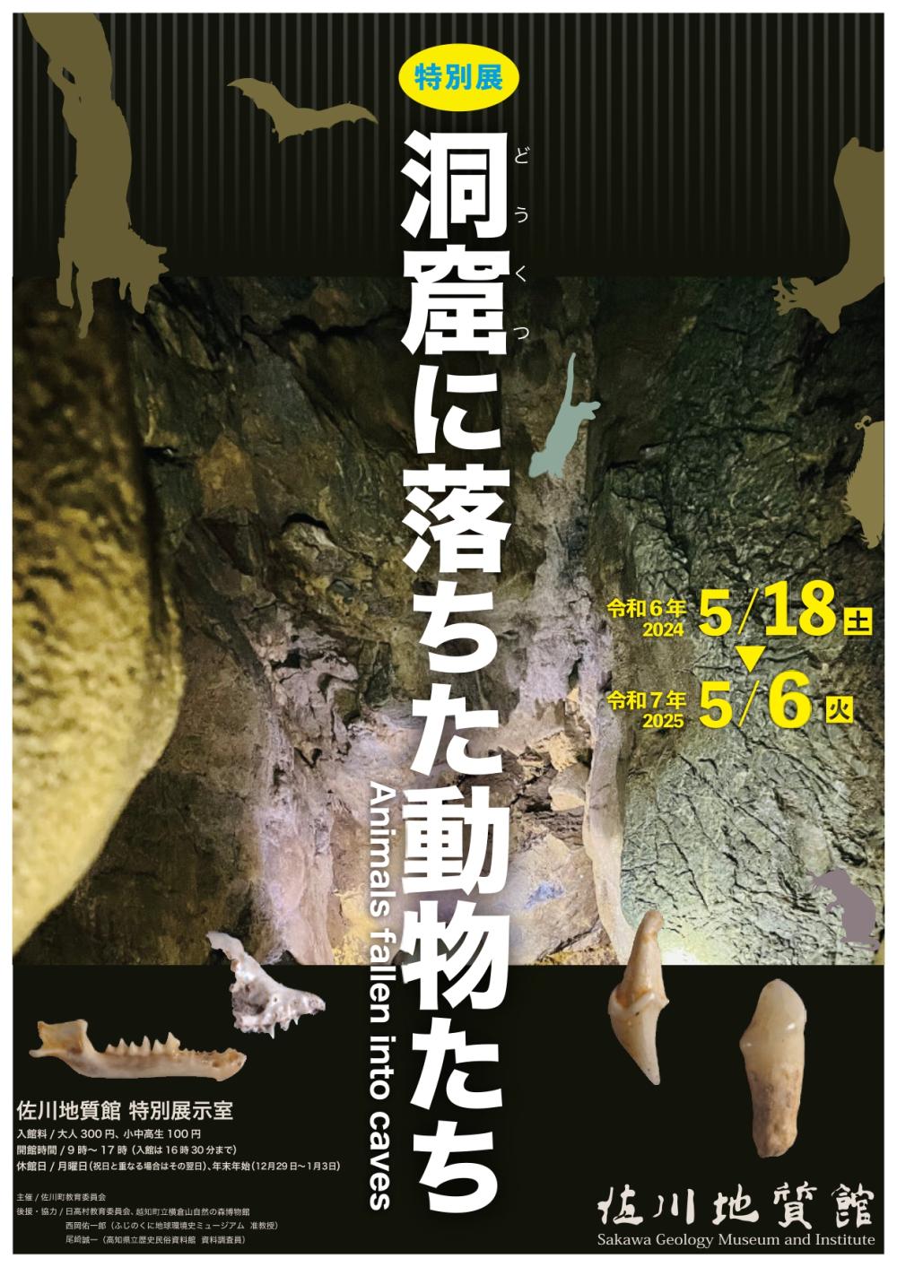 【特別展】洞窟に落ちた動物たち　