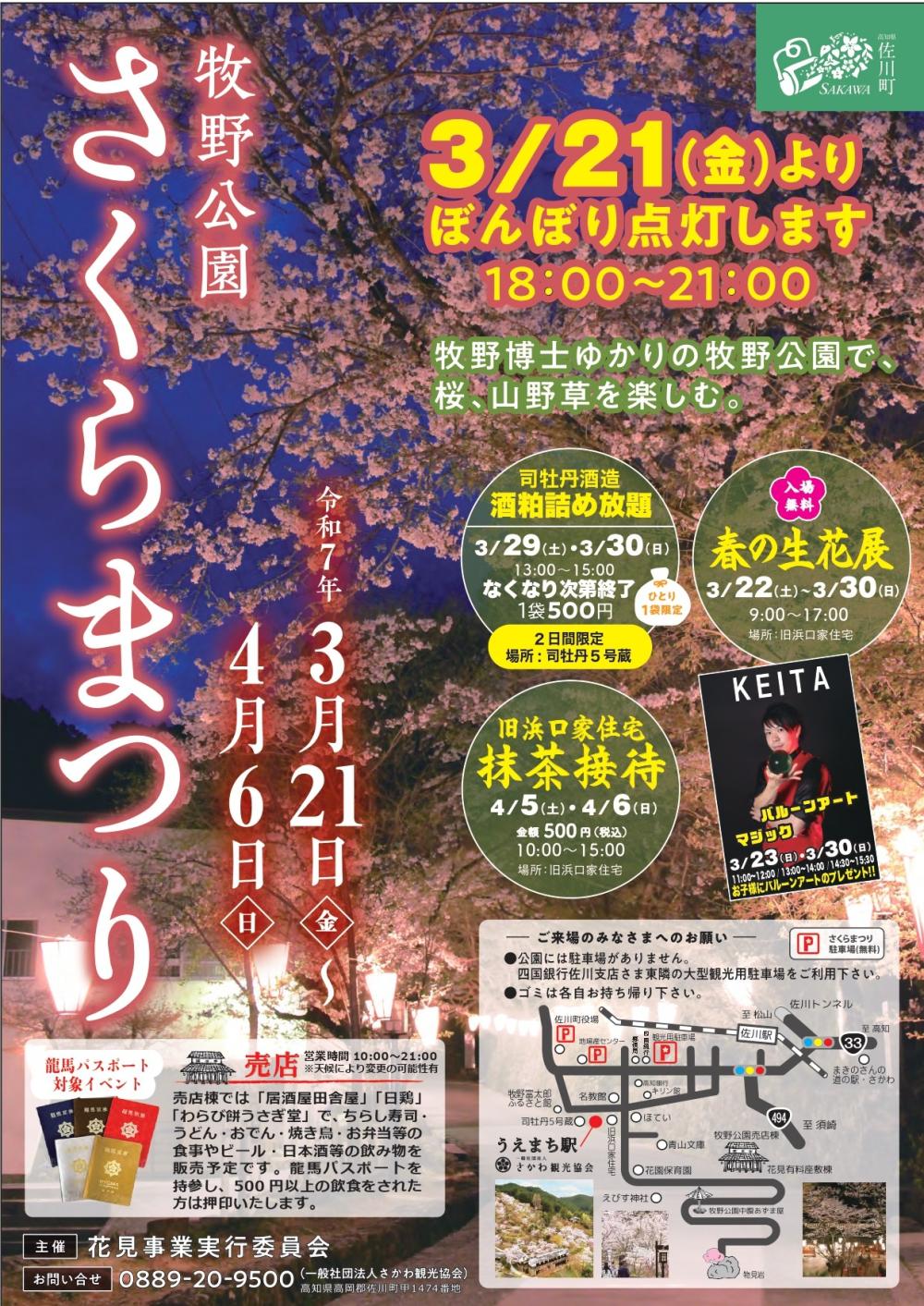 牧野公園さくらまつり２０２５