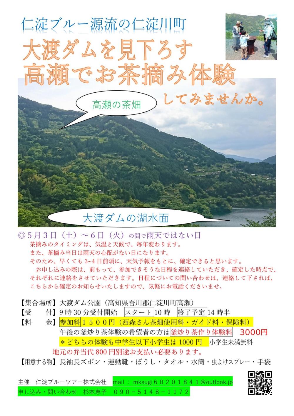 大渡ダムを見下ろす高瀬でお茶摘み体験してみませんか