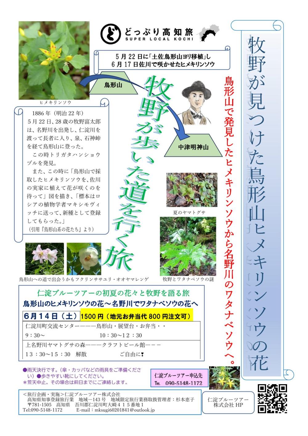 牧野が見つけた鳥形山ヒメキリンソウの花　日帰りバスツアー
