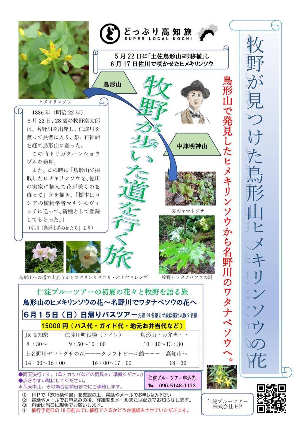 牧野が見つけた鳥形山ヒメキリンソウの花 日帰りバスツアー