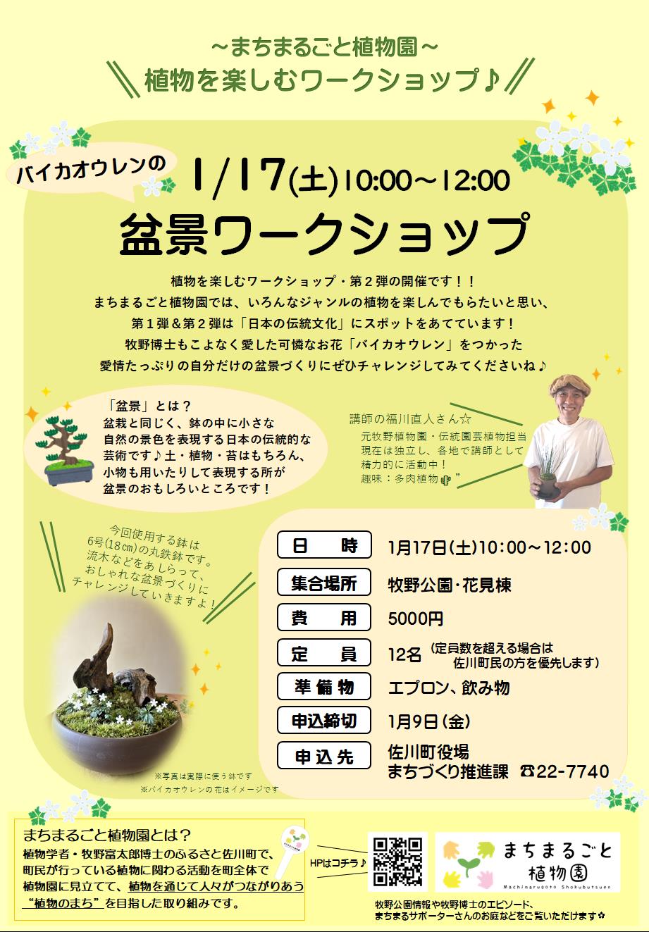 【事前申込制】バイカオウレンの盆景ワークショップ