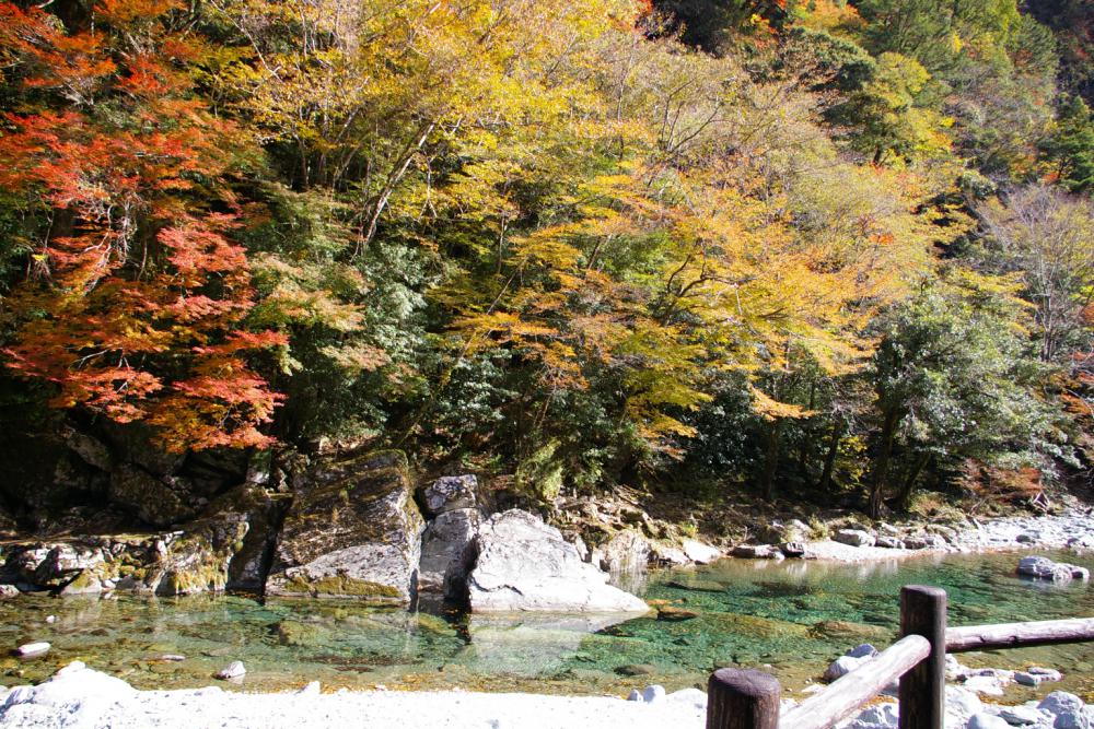  Yasui Valley Guided Tour