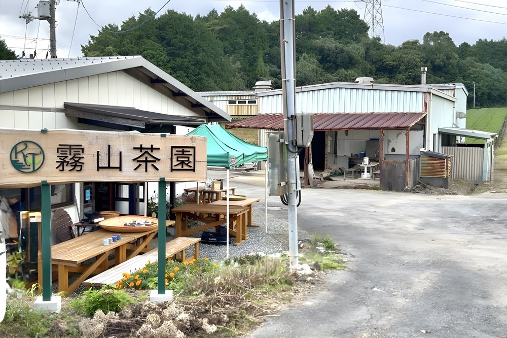  採茶與手揉製茶體驗（從茶葉揉捻到完成）～附「親手製作」的茶葉伴手禮～