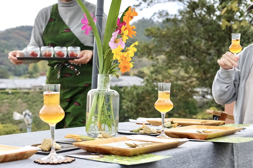 日本茶指導師帶領的絕景體驗 土佐茶寮「山之燈」＜私人茶席體驗＞