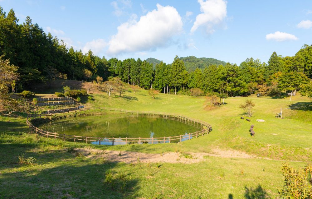 星个窪野营地   Hoshigakubo Camping Site
