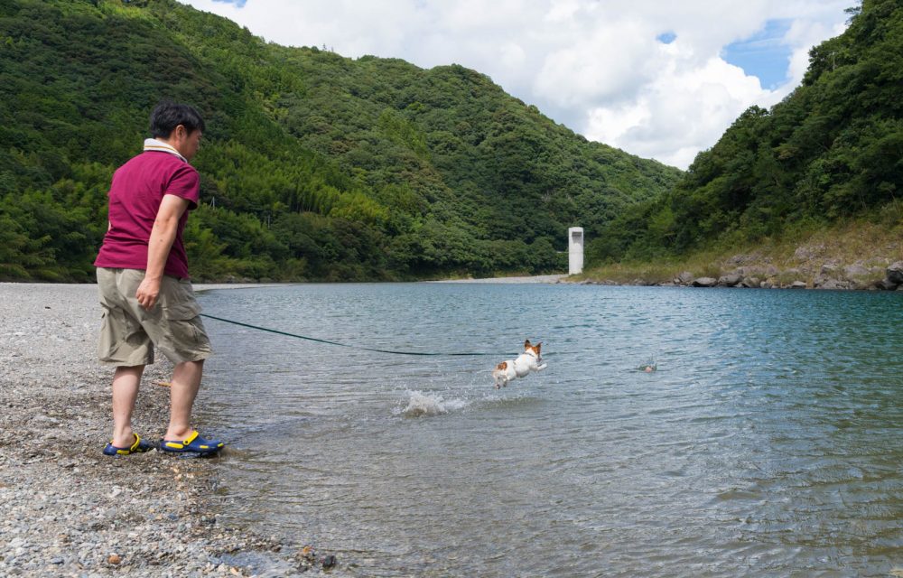  小浜キャンプ場