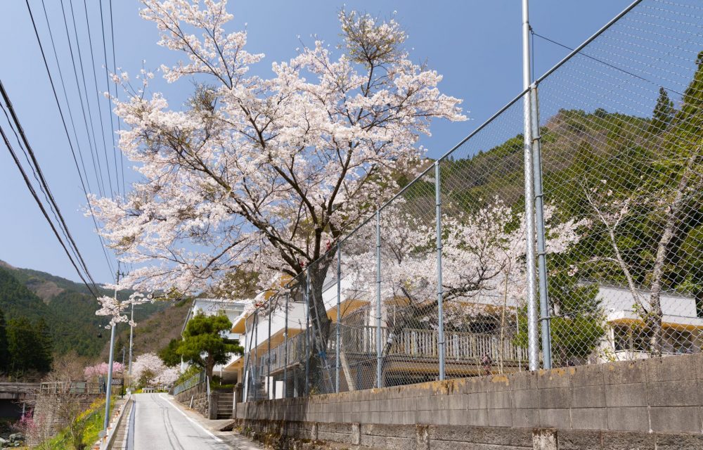  山村自然樂校下名野鄉