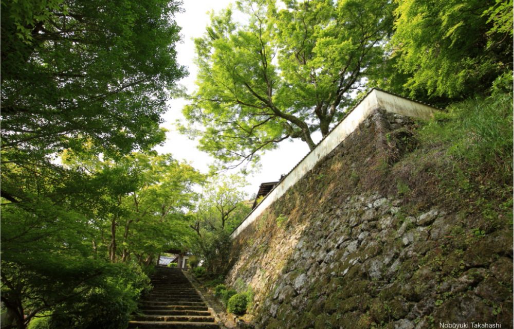  Seigenji Temple
