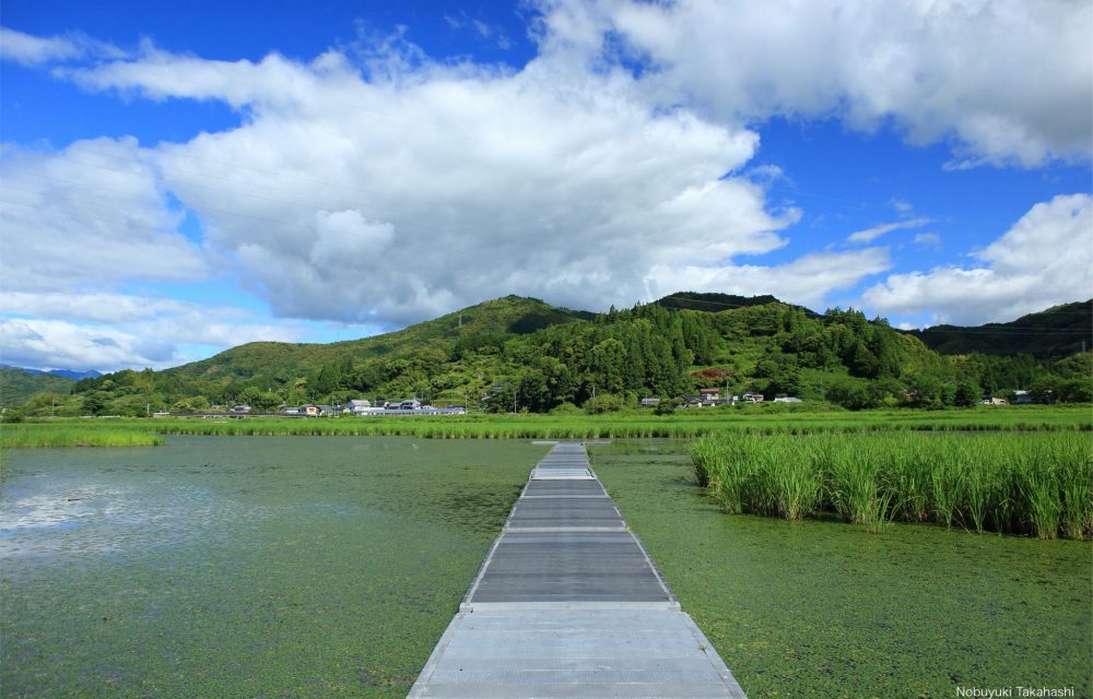  Kusaka River Reservoir(Killifish Pond)