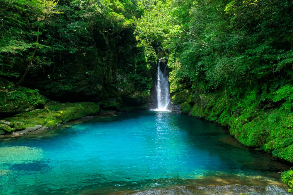 [Number one in popularity! ] Two Niyodo blue spots: Nikobuchi and Yasui Valley 4.5 hour course