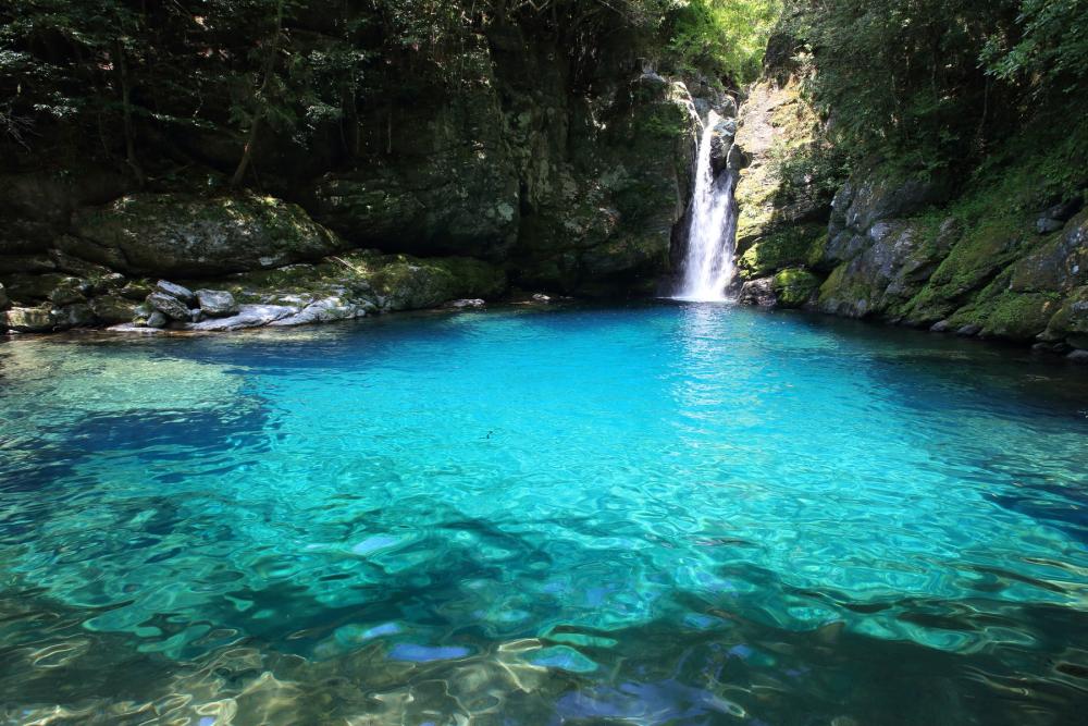 Miracle clear stream, Niyodo River! Niyodo Blue Spot “Nikobuchi” [without guide & lunch, 4 hours]