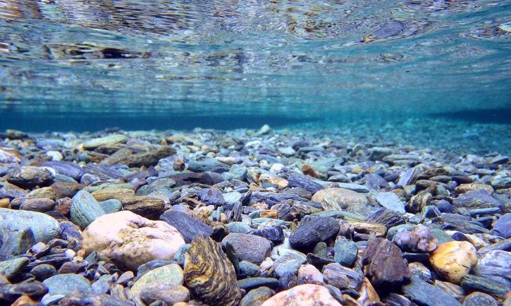 Miracle clear stream, Niyodo River! Niyodo Blue 3 major Spots tour 【No guide, Lunch included, 8 hours】.