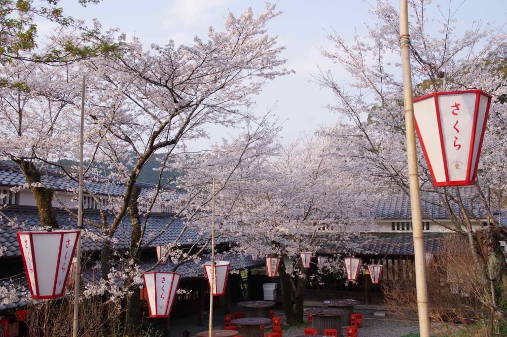 牧野公園